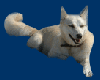 Woof!