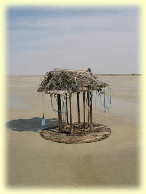 Osprey nest