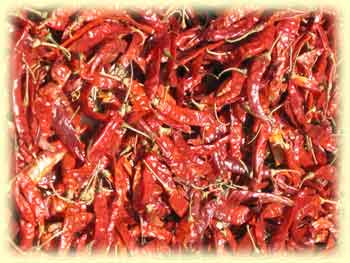 Red hot chillis for sale by the road